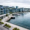 SCPI sans frais d'entrée : la révolution silencieuse de l'immobilier accessible