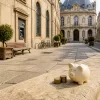 Le Livret A remonte à 1,8 % le 1er août : ce que cette hausse change pour votre stratégie d'épargne